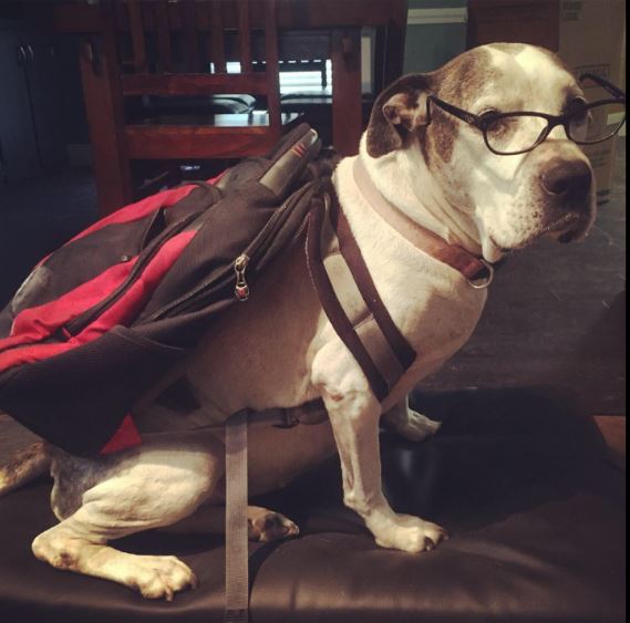Matilda